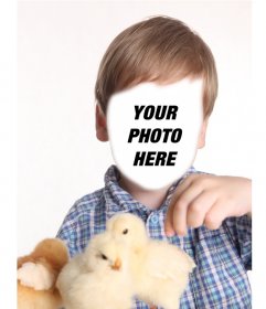 Photomontage of a child playing with yellow chicks to put your face