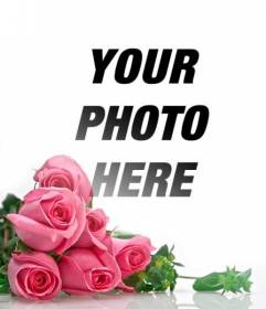 Photomontage with pink roses with white gradient background to place your romantic photos