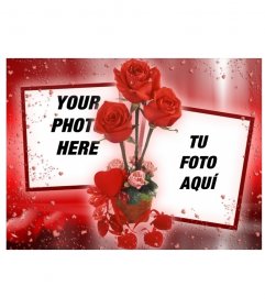 Photo frame where you can put two pictures that appear linked by some roses. red background with hearts