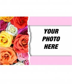 Postcard of colored roses. Card to make a special photo detail for Valentine
