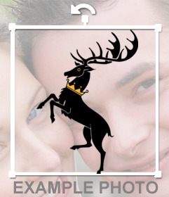 Put this sticker on your photos if you are of the Baratheon House