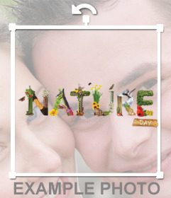 Original NATURE sticker with animals and plants to put on your photos