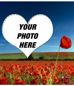 Put your photo in this postcard with heart over a field of flowers