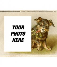 Vintage Christmas card with black and brown puppy drawn smiling holding a branch of holly with the mouth