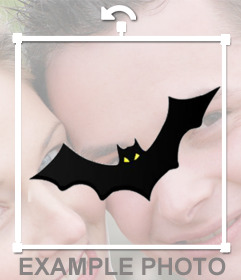 Photomontage to decorate your photo with a bat flying