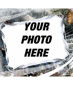 Photo frame with winter motifs and Christmas