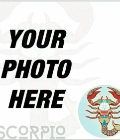 Photo frame for your profile picture with a symbolic representation of SCORPIO Zodiac