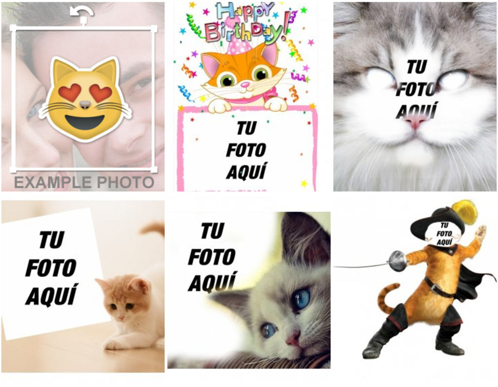 Fotomontajes con gatos para hacer con tus fotos